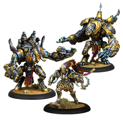 Warmachine Orgoth Sea Raiders Battlegroup Box