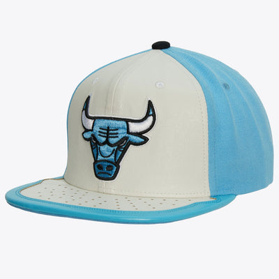 Mitchell & Ness Chicago Bulls White Day 1 Snapback Hat