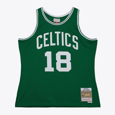 Mitchell & Ness Dave Cowens Boston Celtics 1973-74 Kelly Green Swingman Jersey