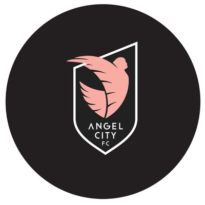 Franklin Sports NWSL Angel City High Bounce Ball
