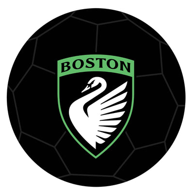 Franklin Sports NWSL Boston Legacy FC Stress Ball