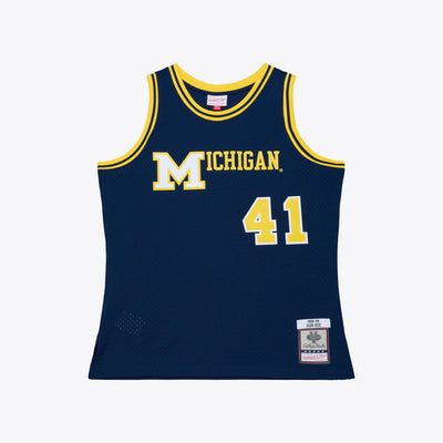 Mitchell & Ness Glen Rice Michigan Wolverines 1988-89 Navy Swingman Jersey