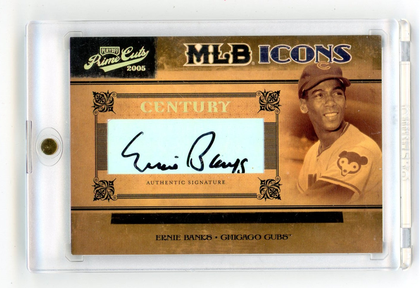 2005 Playoff Prime Cuts Icons Century Ernie Banks #MLB-15 Auto /10