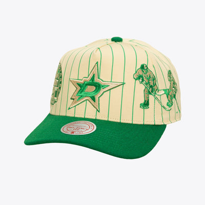 Mitchell & Ness Dallas Stars Cream/Kelly Green Retro Roots Stripe Pro Pinch Snapback Hat