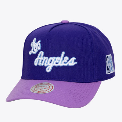Mitchell & Ness Los Angeles Lakers Purple/Lavender Hardwood Classics Legendary Away Pro Pinch Snapback Hat