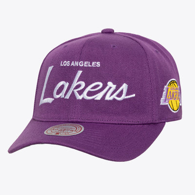 Mitchell & Ness Los Angeles Lakers Purple Hardwood Classics Head Coach Pro Crown Snapback Hat