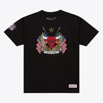 Chicago Bulls Mitchell & Ness Allegiance T-Shirt - Black