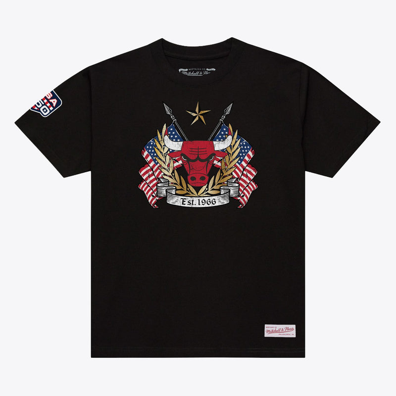 Chicago Bulls Mitchell & Ness Allegiance T-Shirt - Black