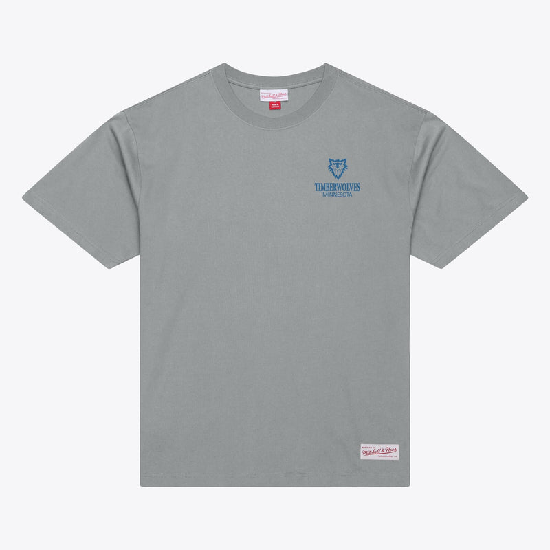 Minnesota Timberwolves Mitchell & Ness Core Essentials T-Shirt - Gray