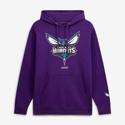 Charlotte Hornets Mitchell & Ness Fleece Hoodie - Purple