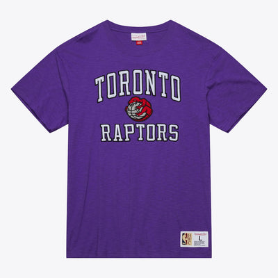 Toronto Raptors Mitchell & Ness Hardwood Classics Legendary Slub T-Shirt - Purple