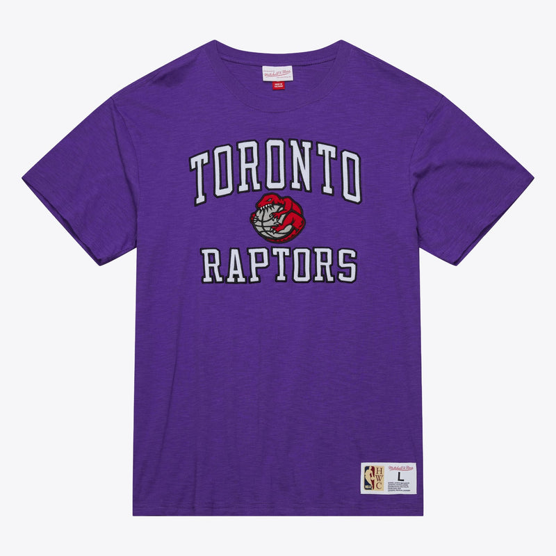 Toronto Raptors Mitchell & Ness Hardwood Classics Legendary Slub T-Shirt - Purple