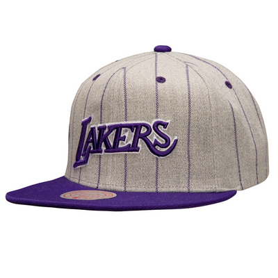 Mitchell & Ness Los Angeles Lakers Grey Heather Hardwood Classics Gray Pin Pop Snapback Hat