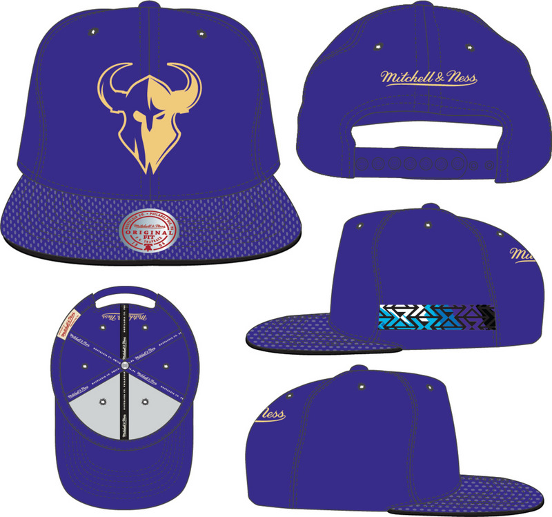 Mitchell & Ness Minnesota Rokkr Purple Team Jersey Snapback Hat