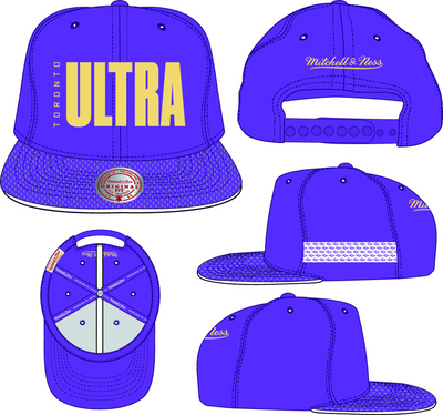Mitchell & Ness Toronto Ultra Purple Team Jersey Snapback Hat