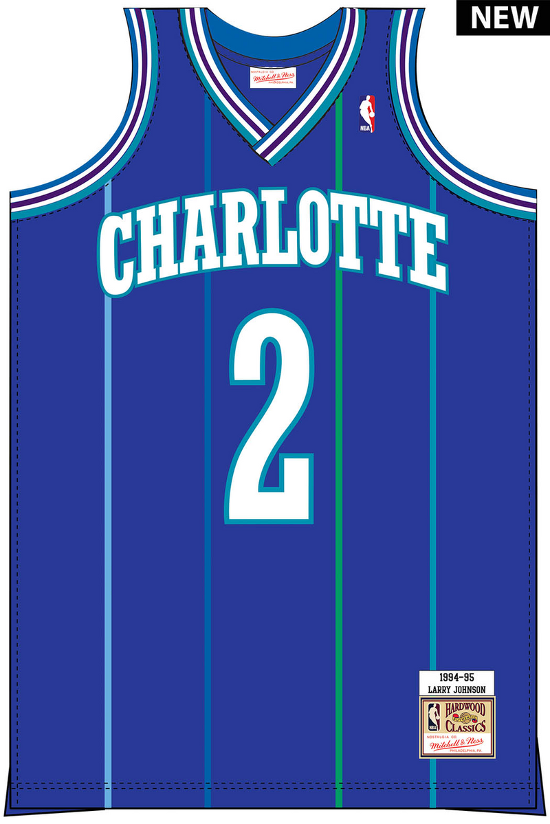 Mitchell & Ness Larry Johnson Charlotte Hornets 1994 Purple Authentic Alternate Jersey