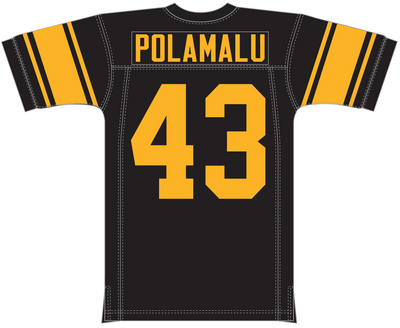 Mitchell & Ness Troy Polamalu Troy Polamalu Pittsburgh Steelers 2008 Black Alternate Jersey