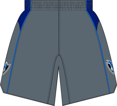 Mitchell & Ness Dallas Mavericks 2003 Grey Alternate Shorts