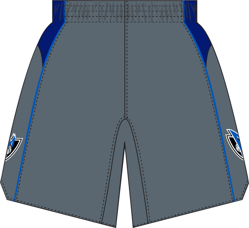 Mitchell & Ness Dallas Mavericks 2003 Grey Alternate Shorts