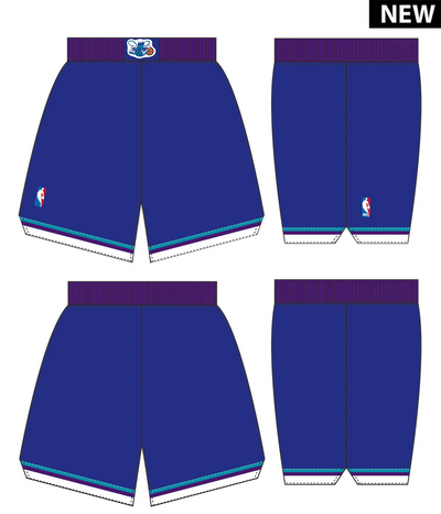 Mitchell & Ness Charlotte Hornets 1994-95 Purple Authentic Alternate Shorts