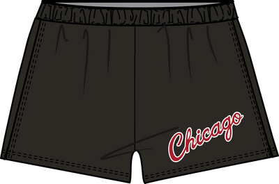 Mitchell & Ness Women's Chicago Bulls Black Nylon Shorts