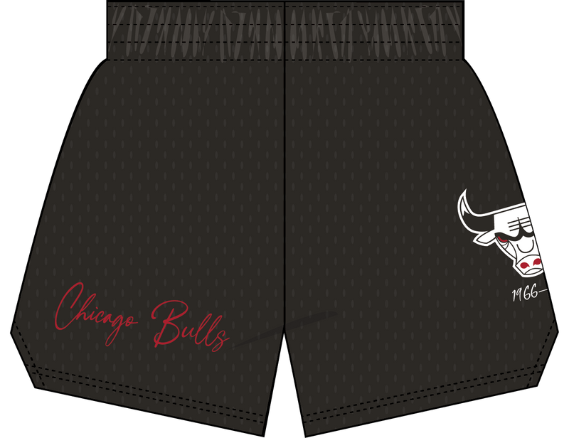 Mitchell & Ness Women's Chicago Bulls Black Jump Shot Shorts