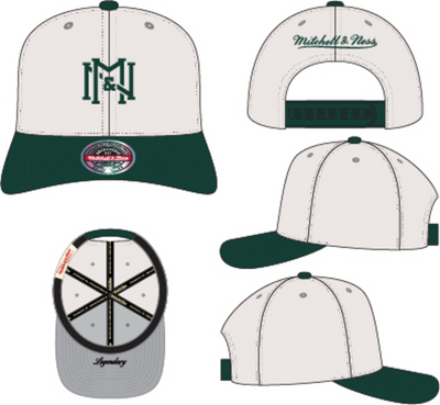 Mitchell & Ness Off White/Green 2t Icon Stretch Snapback Hat