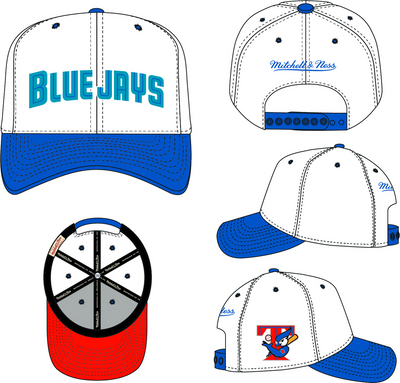 Mitchell & Ness Toronto Blue Jays White Cooperstown Evergreen Pro Snapback Hat