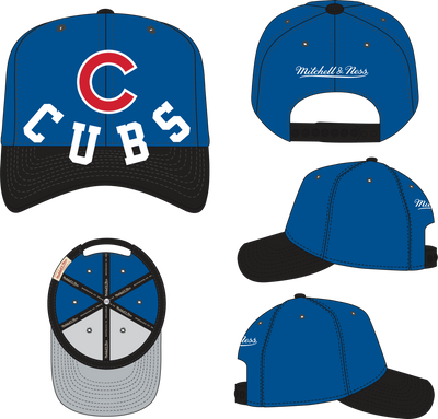 Mitchell & Ness Chicago Cubs Blue Underarch Pro Snapback Hat