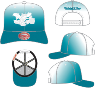 Mitchell & Ness Charlotte Hornets Teal Hardwood Classics Dip Dye Pro Snapback Hat