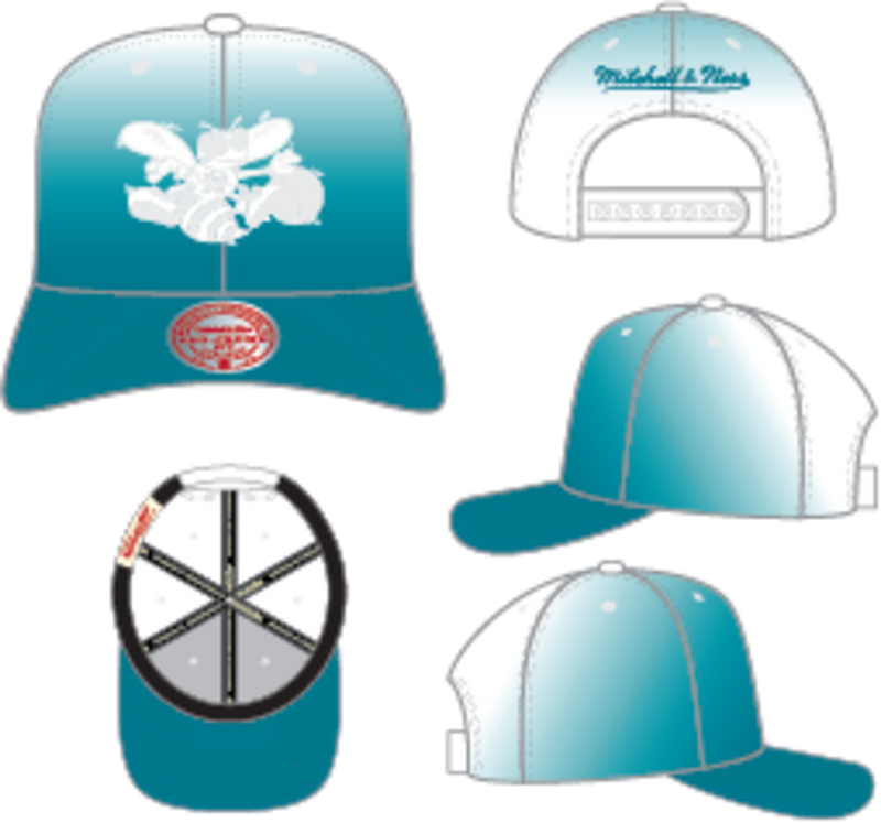Mitchell & Ness Charlotte Hornets Teal Hardwood Classics Dip Dye Pro Snapback Hat