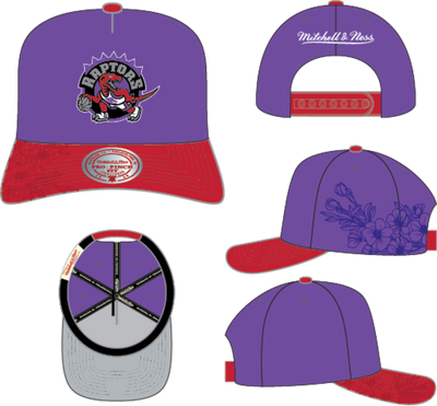 Mitchell & Ness Toronto Raptors Purple Hardwood Classics May Flowers Pro Snapback Hat