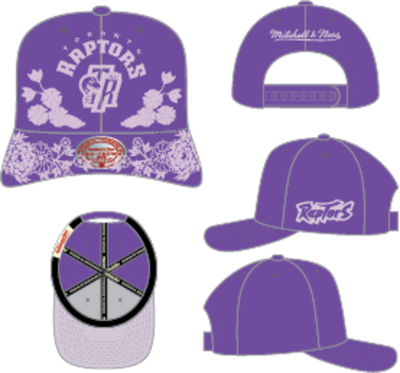 Mitchell & Ness Toronto Raptors Purple Hardwood Classics Morning Haze Pro Snapback Hat