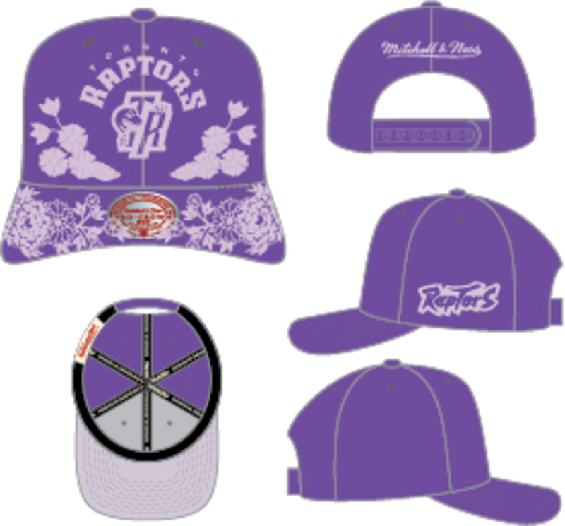Mitchell & Ness Toronto Raptors Purple Hardwood Classics Morning Haze Pro Snapback Hat