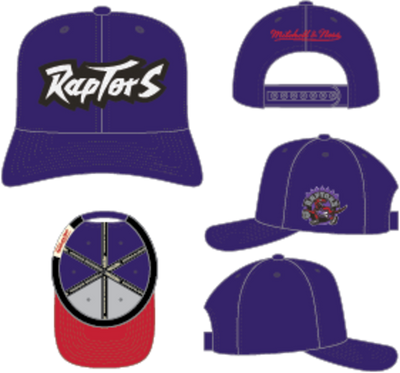 Mitchell & Ness Toronto Raptors Purple Hardwood Classics Chain Gang Pro Snapback Hat