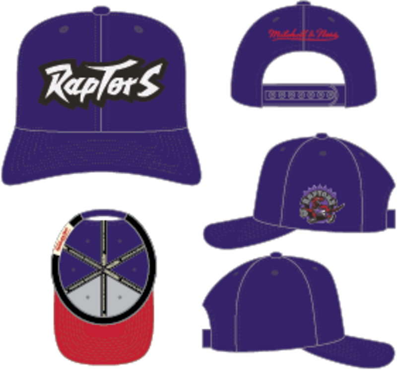 Mitchell & Ness Toronto Raptors Purple Hardwood Classics Chain Gang Pro Snapback Hat