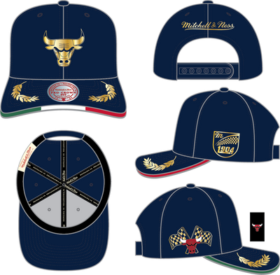 Mitchell & Ness Chicago Bulls Navy/Gold Pro Crown