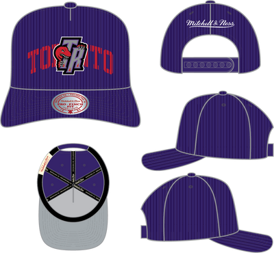 Mitchell & Ness Toronto Raptors Purple Hardwood Classics Arch Stamp Pro Snapback Hat