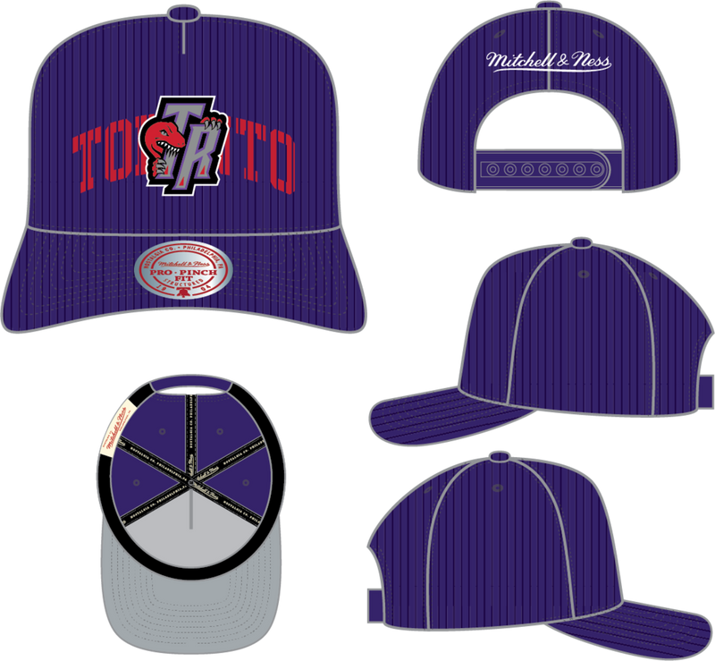 Mitchell & Ness Toronto Raptors Purple Hardwood Classics Arch Stamp Pro Snapback Hat