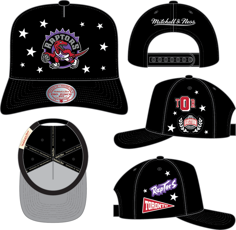 Mitchell & Ness Toronto Raptors Black Hardwood Classics Pep Rally Pro Snapback Hat