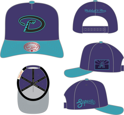 Mitchell & Ness Arizona Diamondbacks Purple/Aqua City Connect Pro Snapback Hat