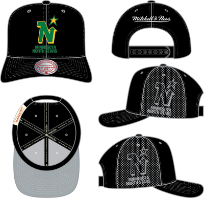 Mitchell & Ness Minnesota North Stars Black Perfect Pro Logo Mesh Snapback Hat