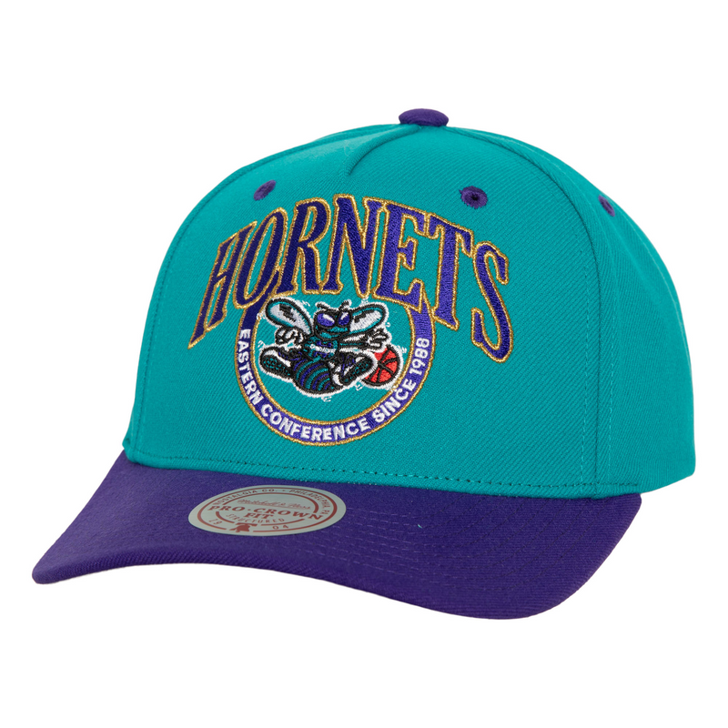 Mitchell & Ness Charlotte Hornets Light Blue Hardwood Classics Crown Jewels Pro Snapback Hat