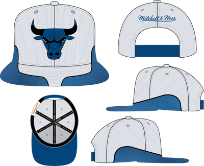Mitchell & Ness Chicago Bulls White/Blue Day 12 Snapback Hat