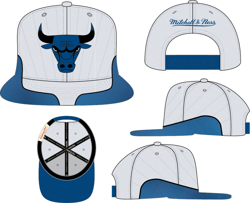 Mitchell & Ness Chicago Bulls White/Blue Day 12 Snapback Hat