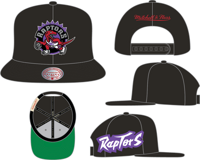Mitchell & Ness Toronto Raptors Black Hardwood Classics Playoff Win Snapback Hat