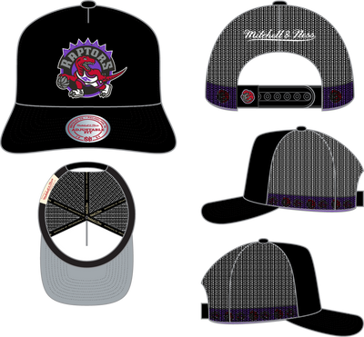 Mitchell & Ness Toronto Raptors Black Hardwood Classics Hidden Trucker Hat