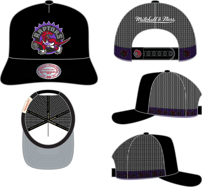 Mitchell & Ness Toronto Raptors Black Hardwood Classics Hidden Trucker Hat