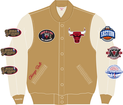 Mitchell & Ness Chicago Bulls Dusted Collection Varsity Jacket
