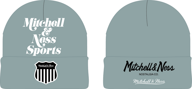 Mitchell & Ness Grey Origins Knit Hat